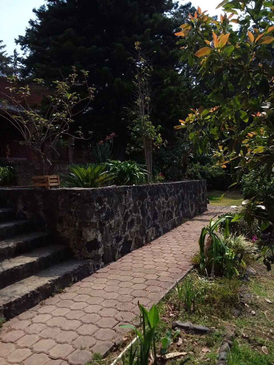 Propiedad #45 Yecapixtla – Cabañas rústicas para una experiencia auténtica